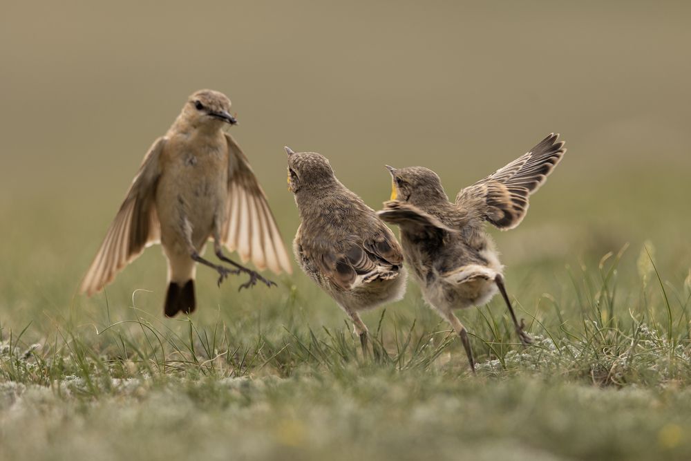 Photograph by Александр Ильин