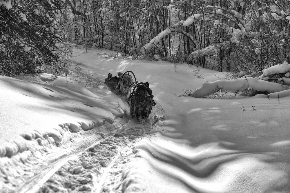 Photograph by Рашид Усманов