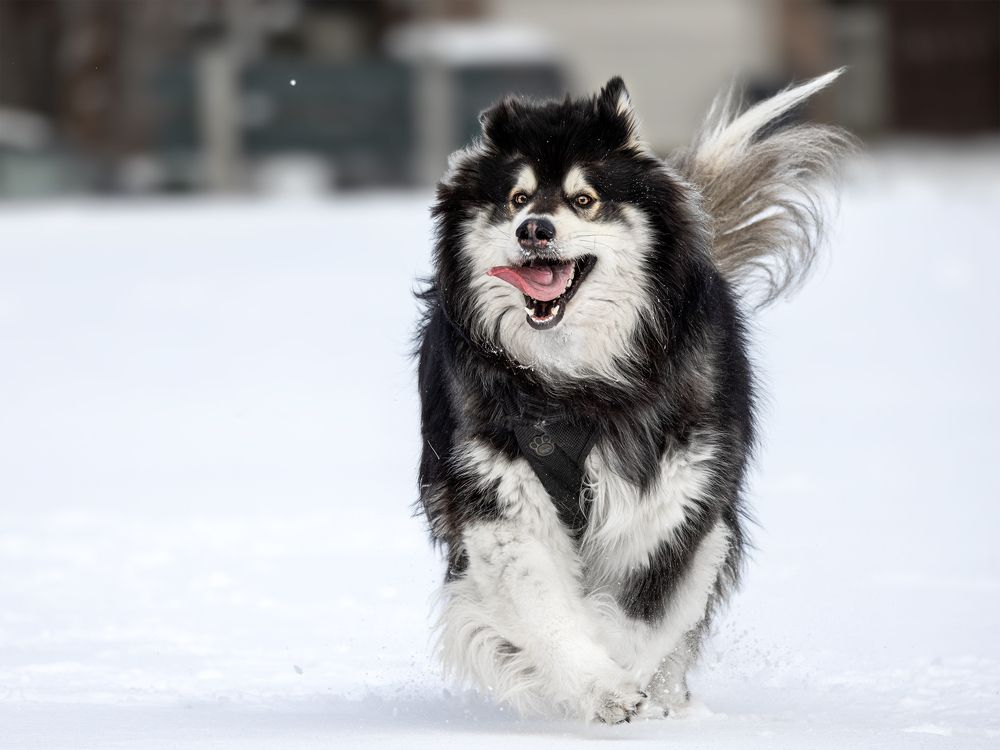 Photograph by Zhenhuan Zhou