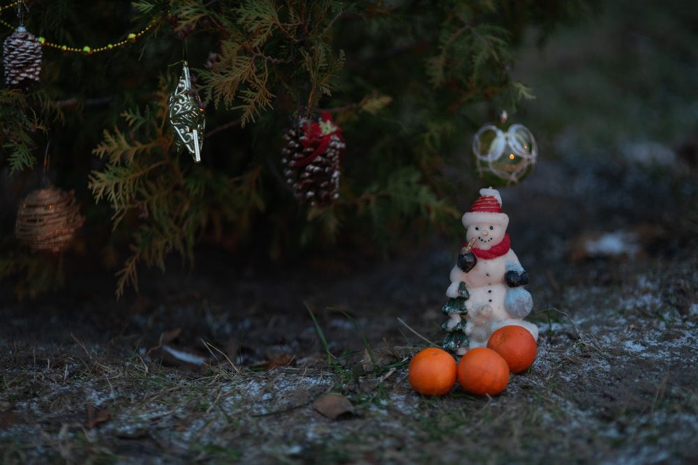 Фотография автора Наталья Почтенная