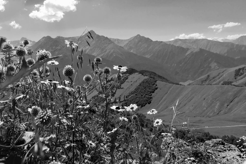 Photograph by Дмитрий Кулемин