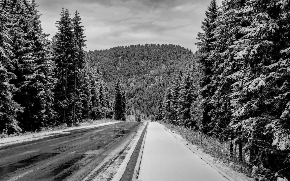 Photograph by Дмитрий Куркулин