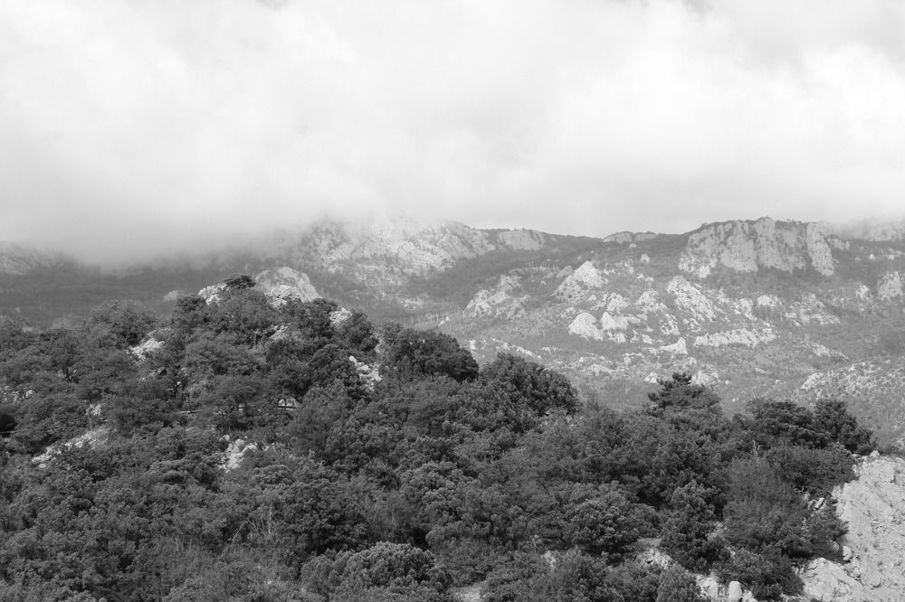 Горный пейзаж