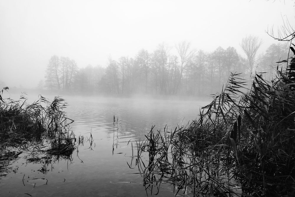 Фотография автора Ratsam