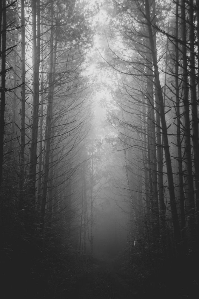 Фотография автора Злобин Сергей