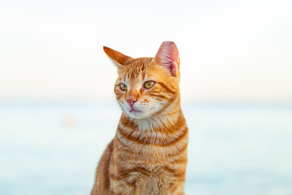 Photograph by Alaa Nour