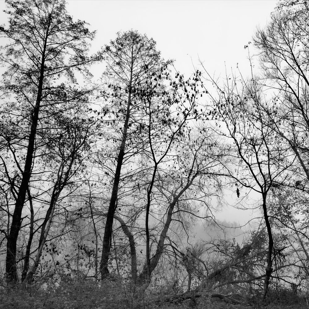 Фотография автора Ratsam