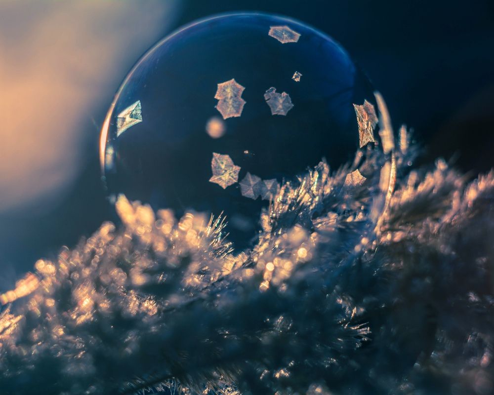 Photograph by Людмила Прибылова