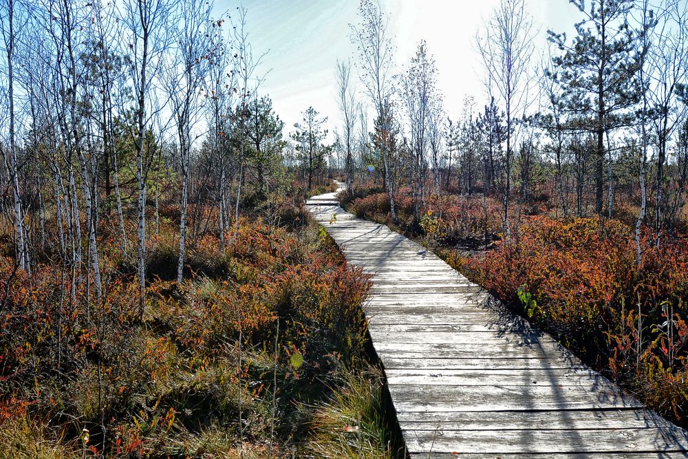 Фотография автора Виктор Журбенков
