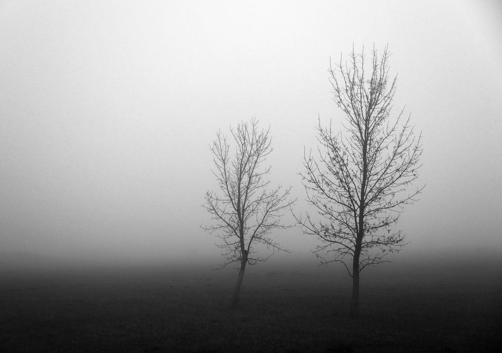 Photograph by Антонина Ахмадеева