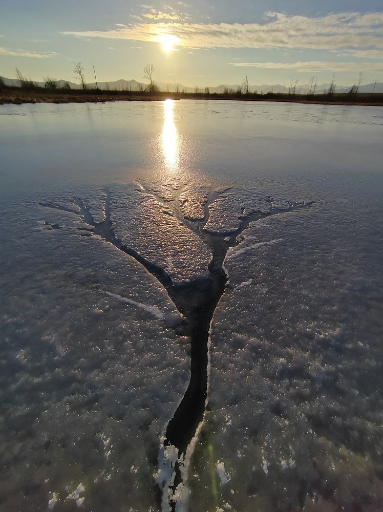 Photograph by Наталья