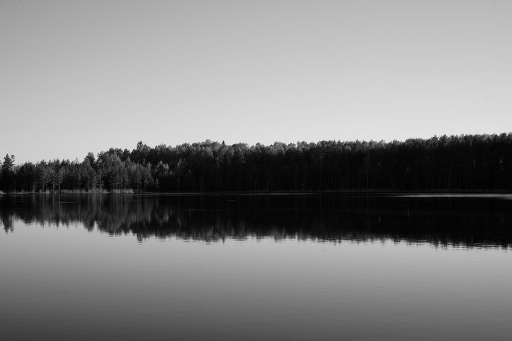 Photograph by Алексей Курносов