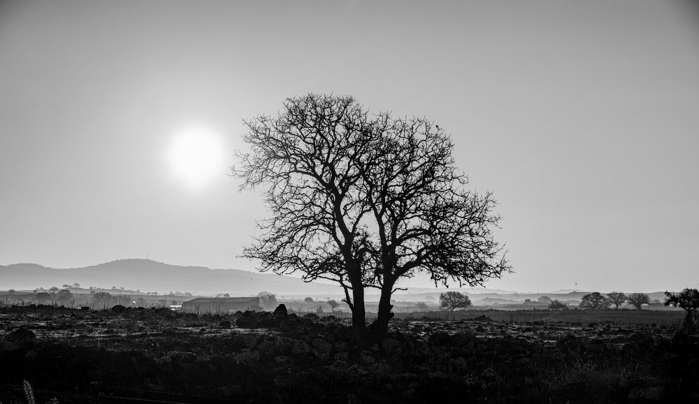 Photograph by Дмитрий Куркулин
