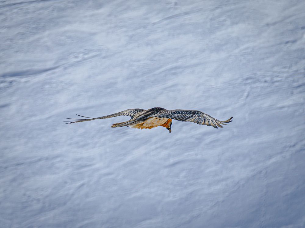 Photograph by Игорь Толкачев