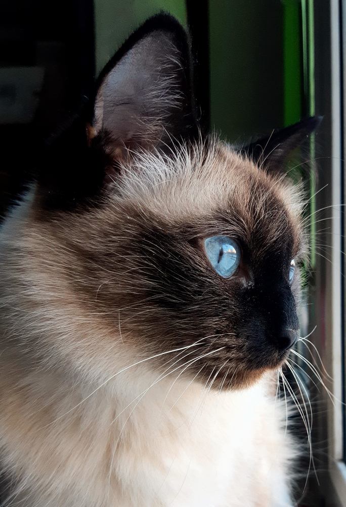 Photograph by Ольга Хромова