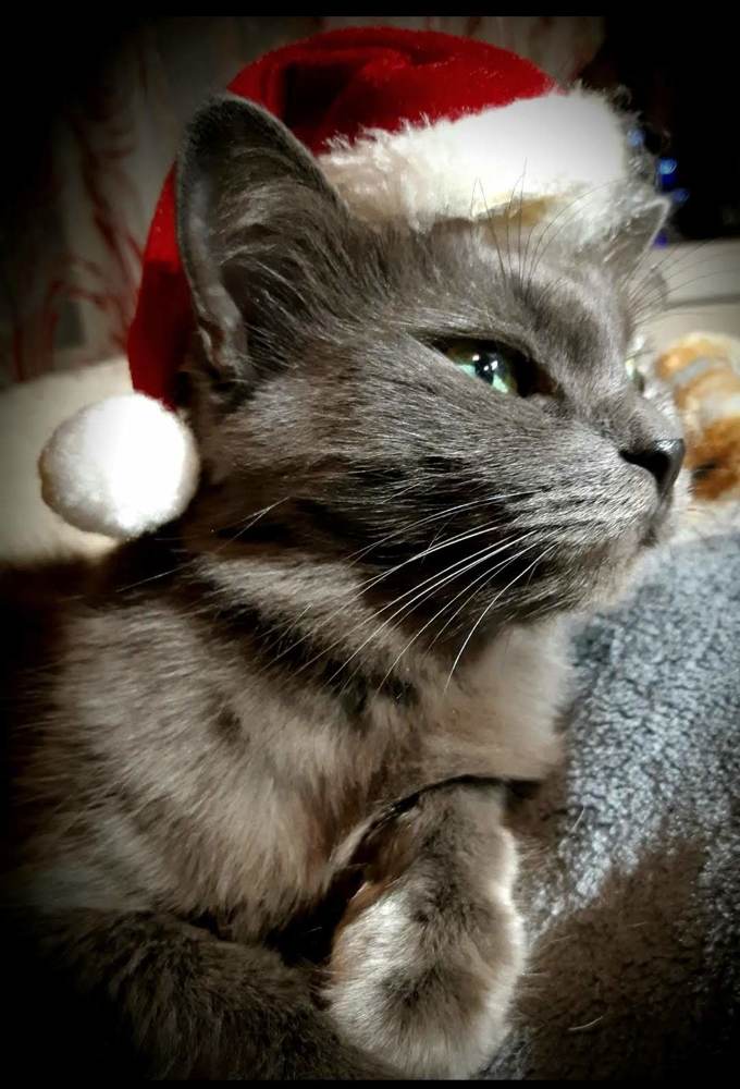 Photograph by Ольга Хромова