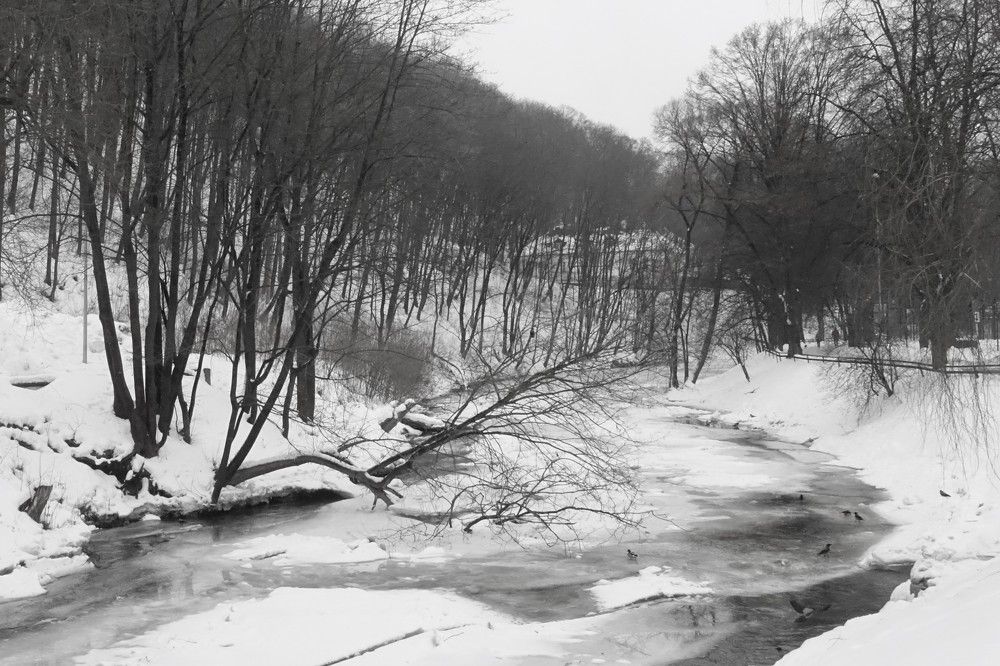 Photograph by jelena konickaja