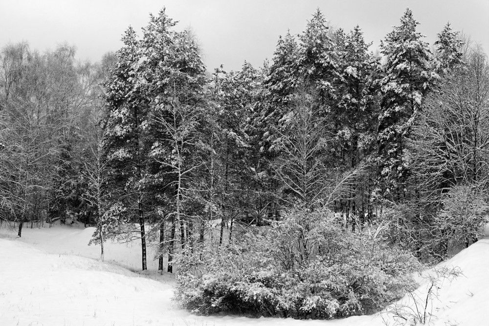 Photograph by jelena konickaja