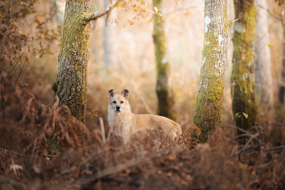 Photograph by Noa Táboas