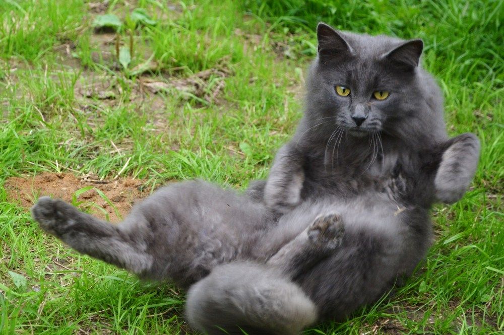 Photograph by Ольга Хромова