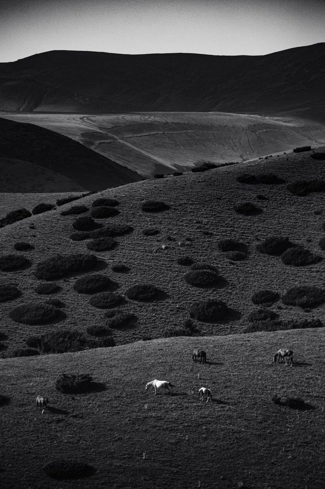 Фотография автора Владимир Широкий