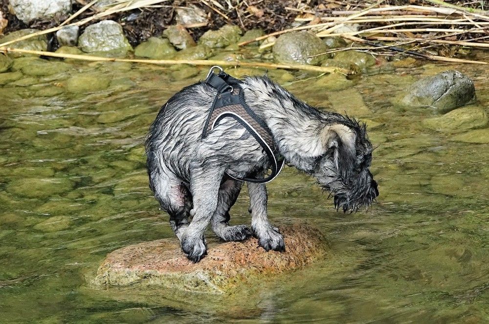 Photograph by jelena konickaja