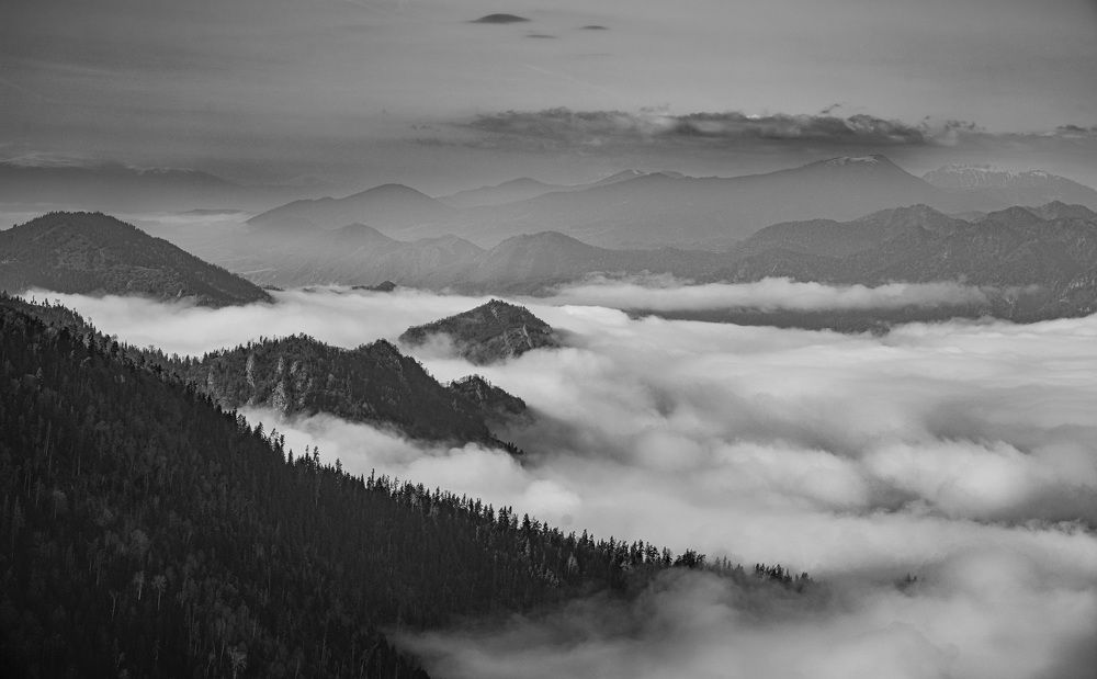 Photograph by Дмитрий Куркулин