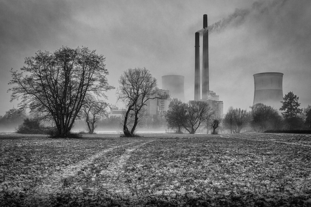 Photograph by Mostafa Mohammad Beigi