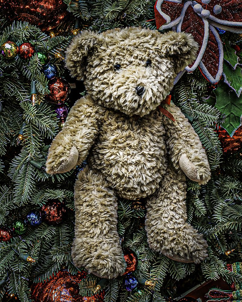 Фотография автора Ray Asiala