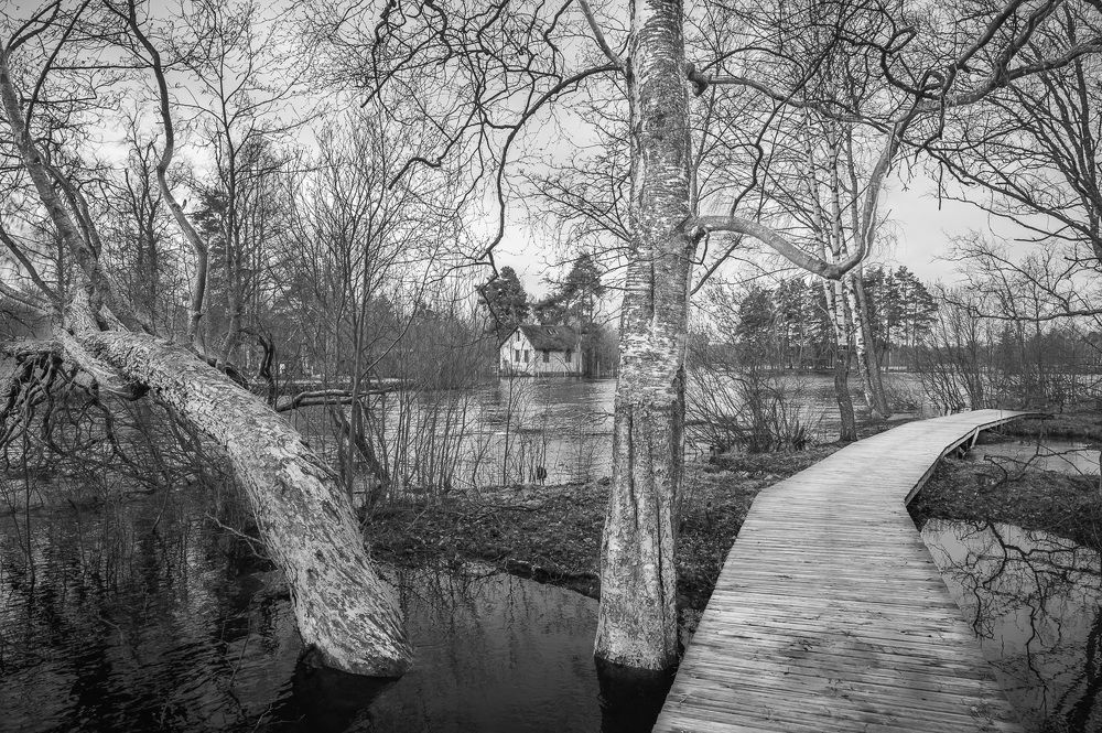 Photograph by Бабурин Олег