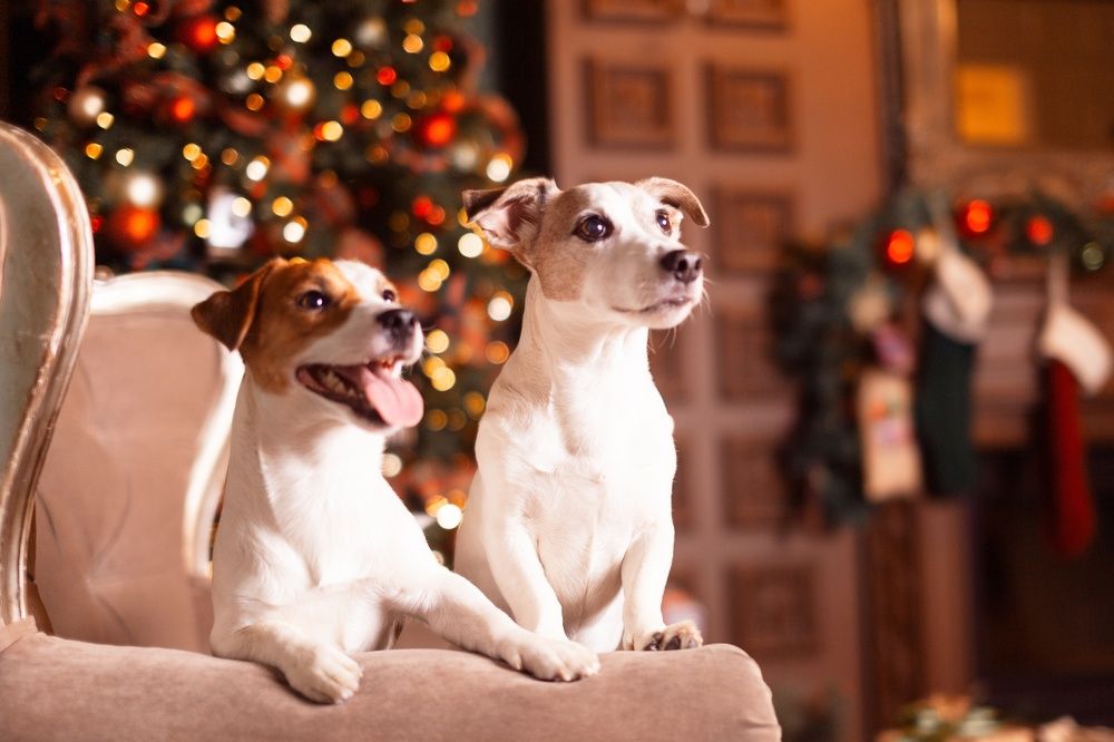 Photograph by Ольга