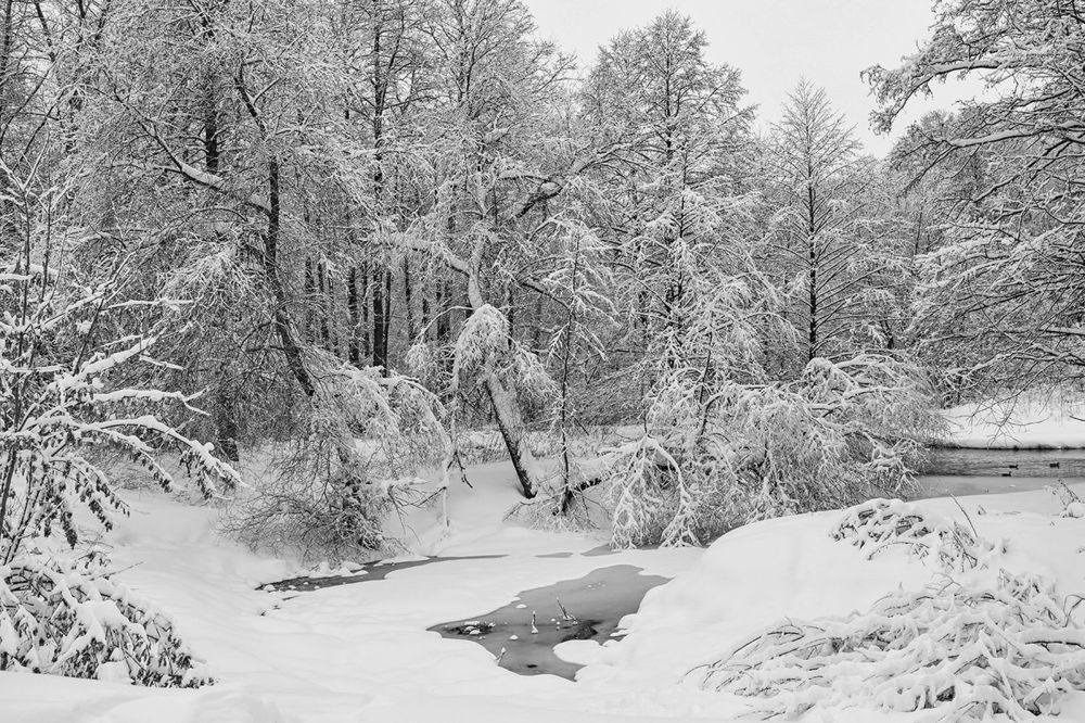 Photograph by Духанин Сергей