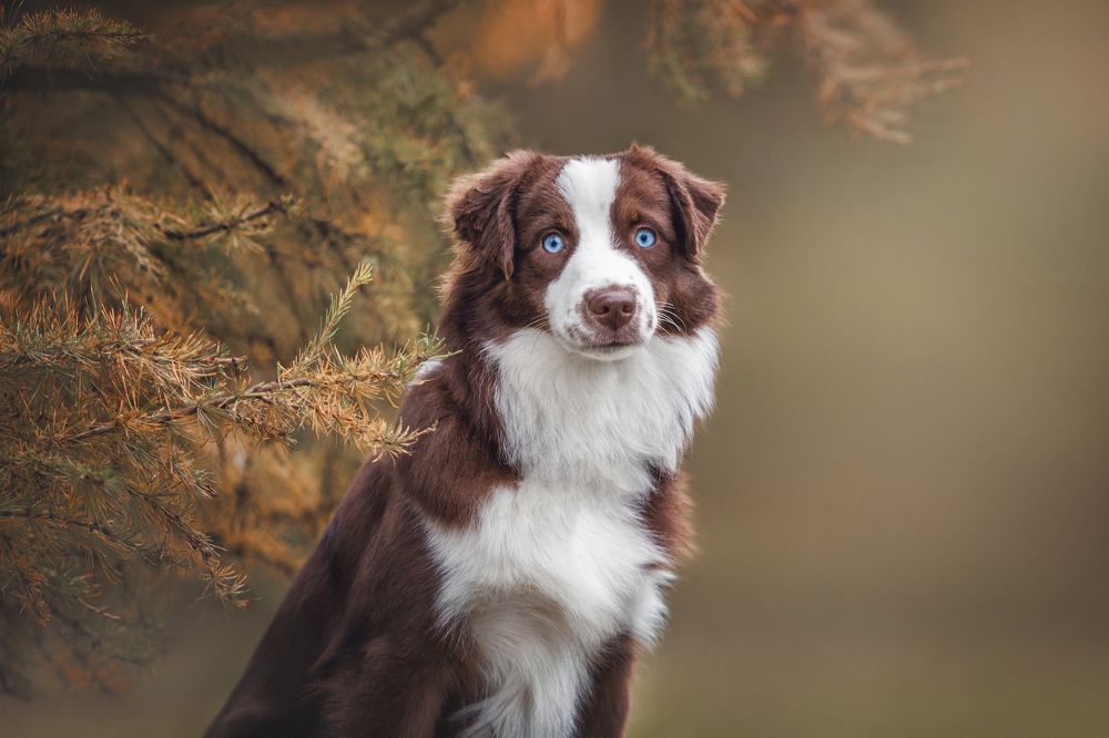 Photograph by Яна Нарбутович
