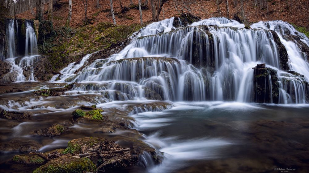Photograph by Бобчева Веселина