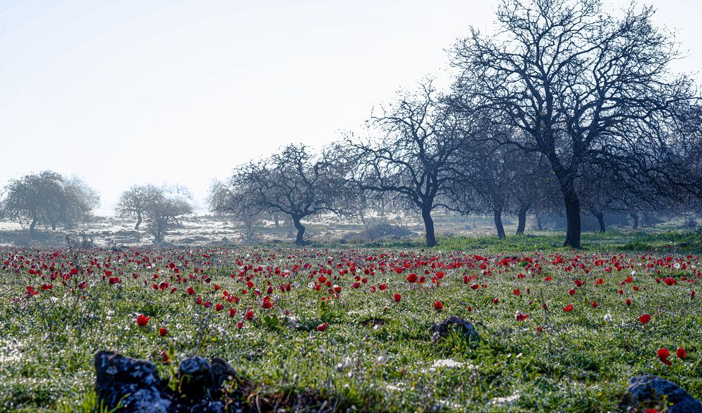 Photograph by Дмитрий Куркулин