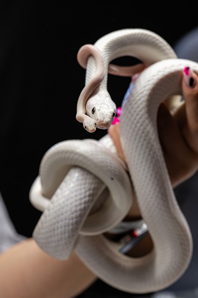 Photograph by Иван Грачев