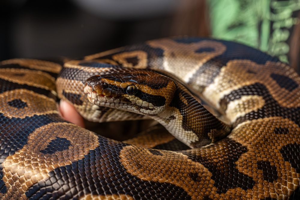 Photograph by Иван Грачев