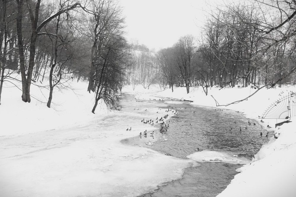 Photograph by jelena konickaja