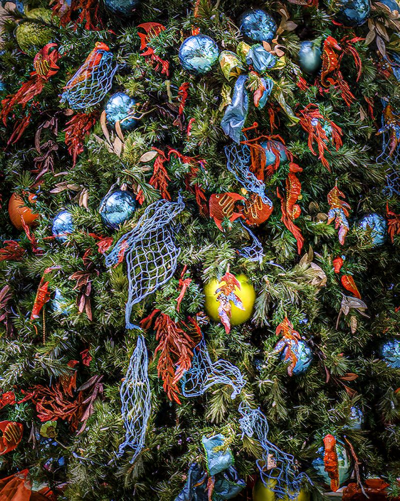 Фотография автора Ray Asiala