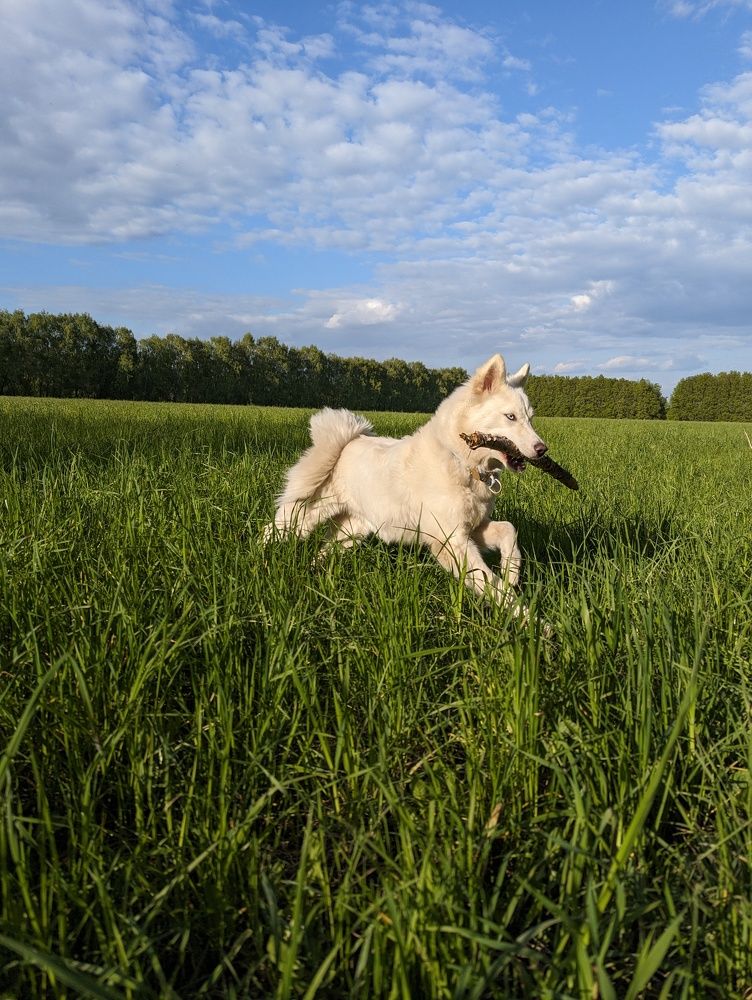Photo #11602842