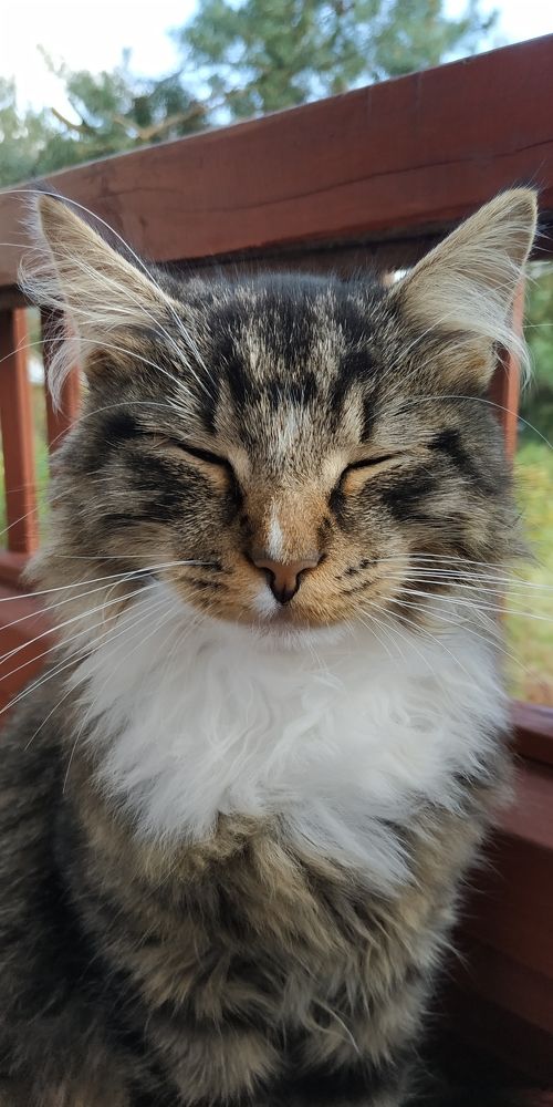 Photograph by Ольга