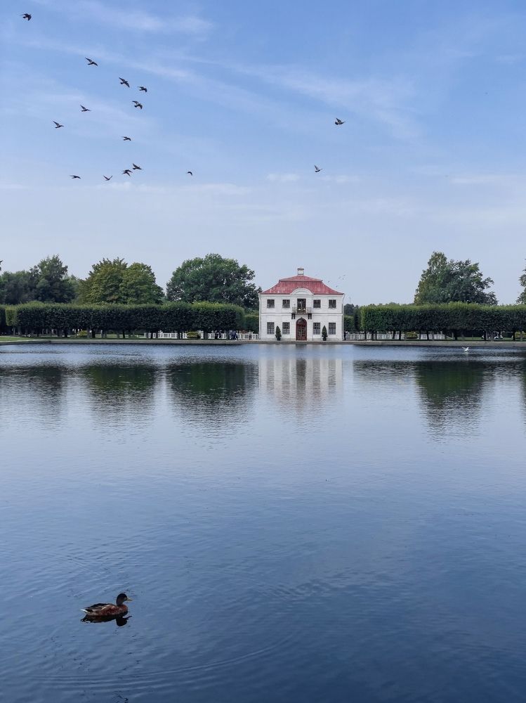 Photograph by Анастасия Каланакова