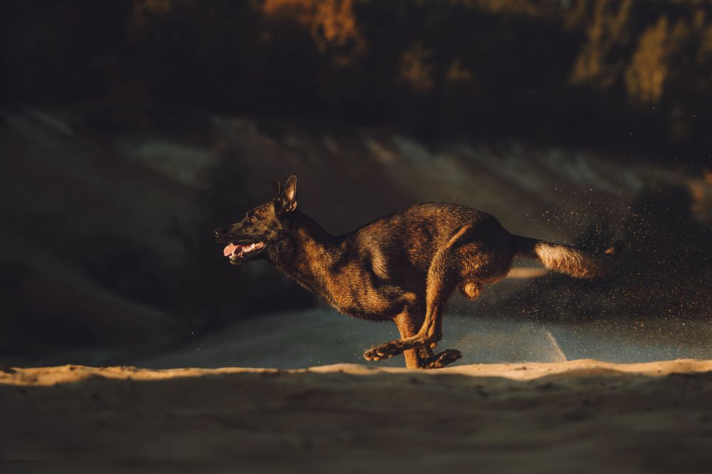 Photograph by Екатерина Киреева