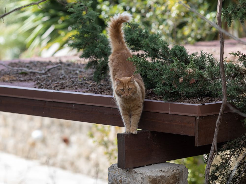 Photograph by  Дмитрий Михайлович