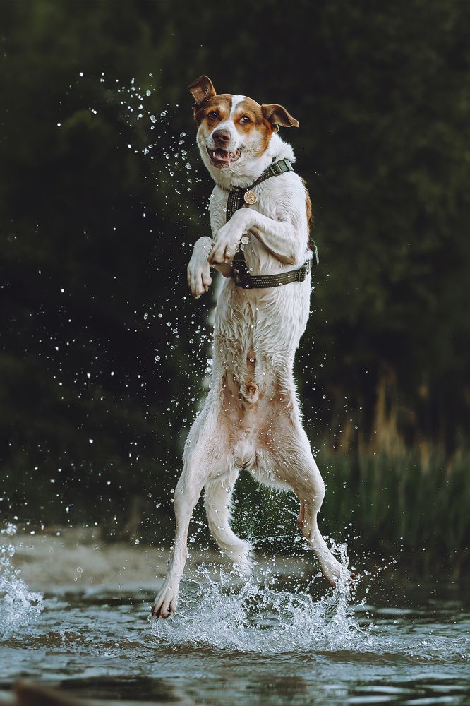 Photograph by Екатерина Киреева