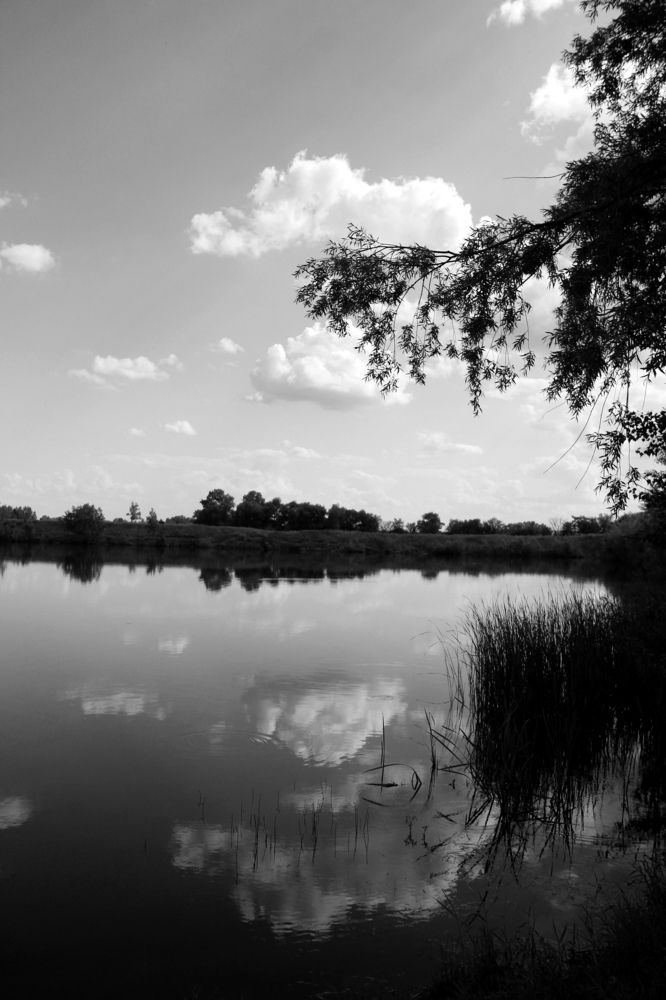 Водяное зеркало / Water Mirror