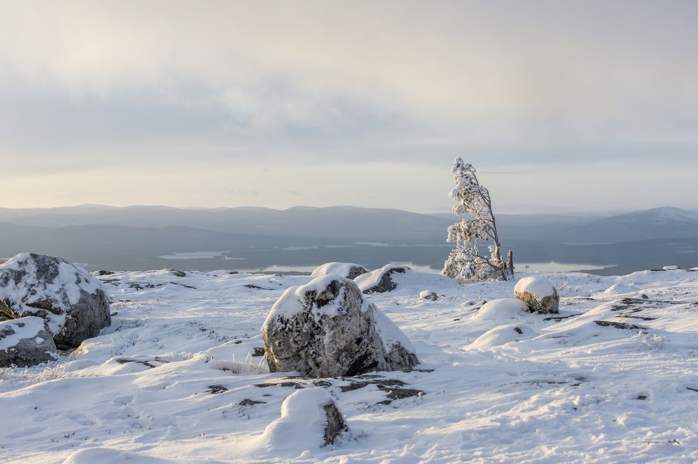 Photograph by Юлия Яковлева