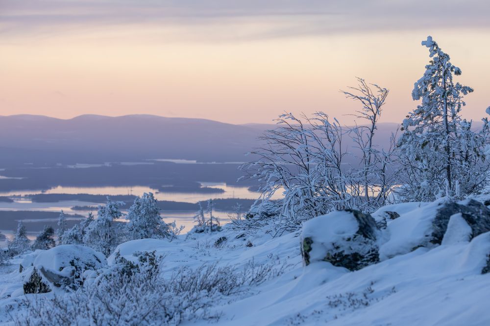 Photograph by Юлия Яковлева