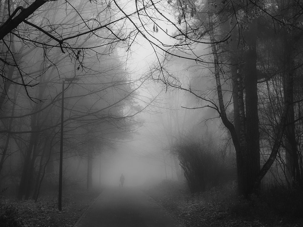 Photograph by Духанин Сергей