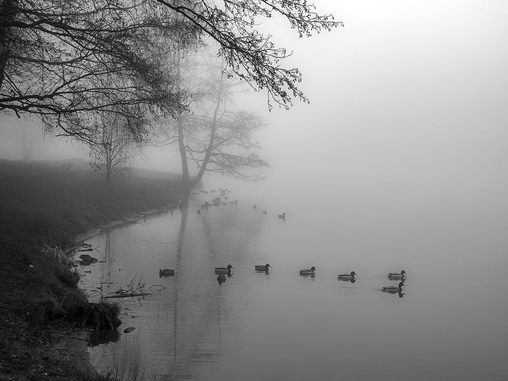 Photograph by Духанин Сергей